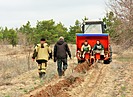 Более 6,2 млн деревьев высадили весной в Волгоградской области